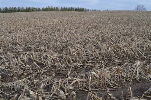 Property photo 12 - 98+/- Acres Offered in 6 Tracts or Combinations, Noble County, Indiana Farm